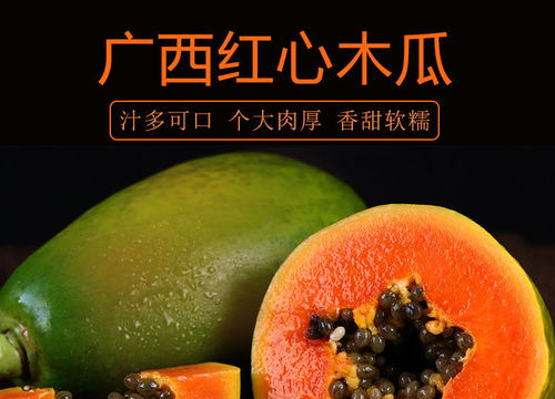 正宗超甜广西冰糖红心木瓜 从枝头到舌尖的甜蜜之旅